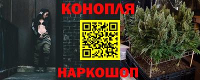 гидра Заволжье