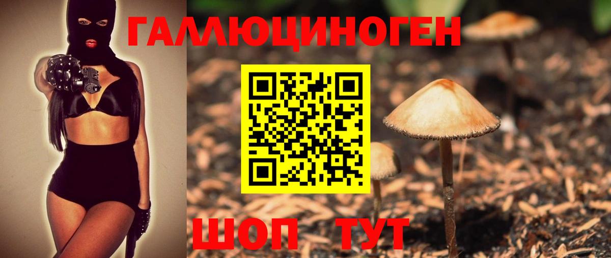 Лабинск  купить   Вход с VPN  Псилоцибиновые грибы Cubensis  Галлюциногенные грибы мицелий 