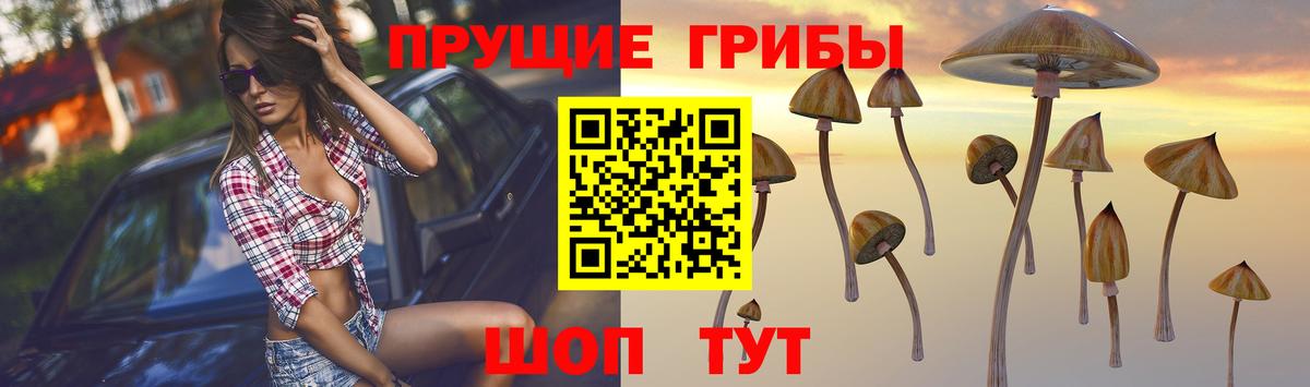 Псилоцибиновые грибы мухоморы Лабинск